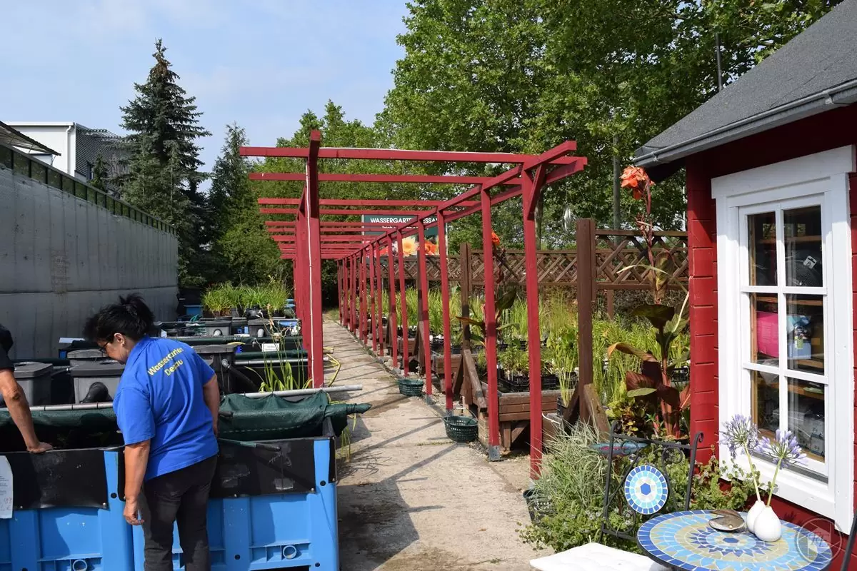 Verkaufsanlage Wassergarten Dessau