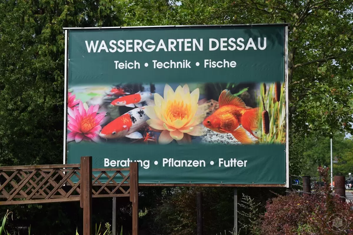 Wassergarten Dessau